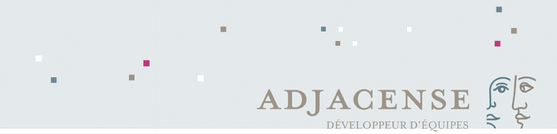 ADJACENSE<br>Développeur d'équipes